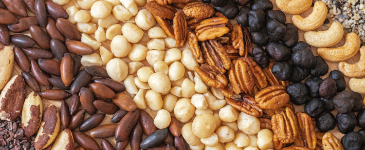 12º Encontro Brasileiro de Nozes e Castanhas vai reunir especialistas e empresários em São Paulo